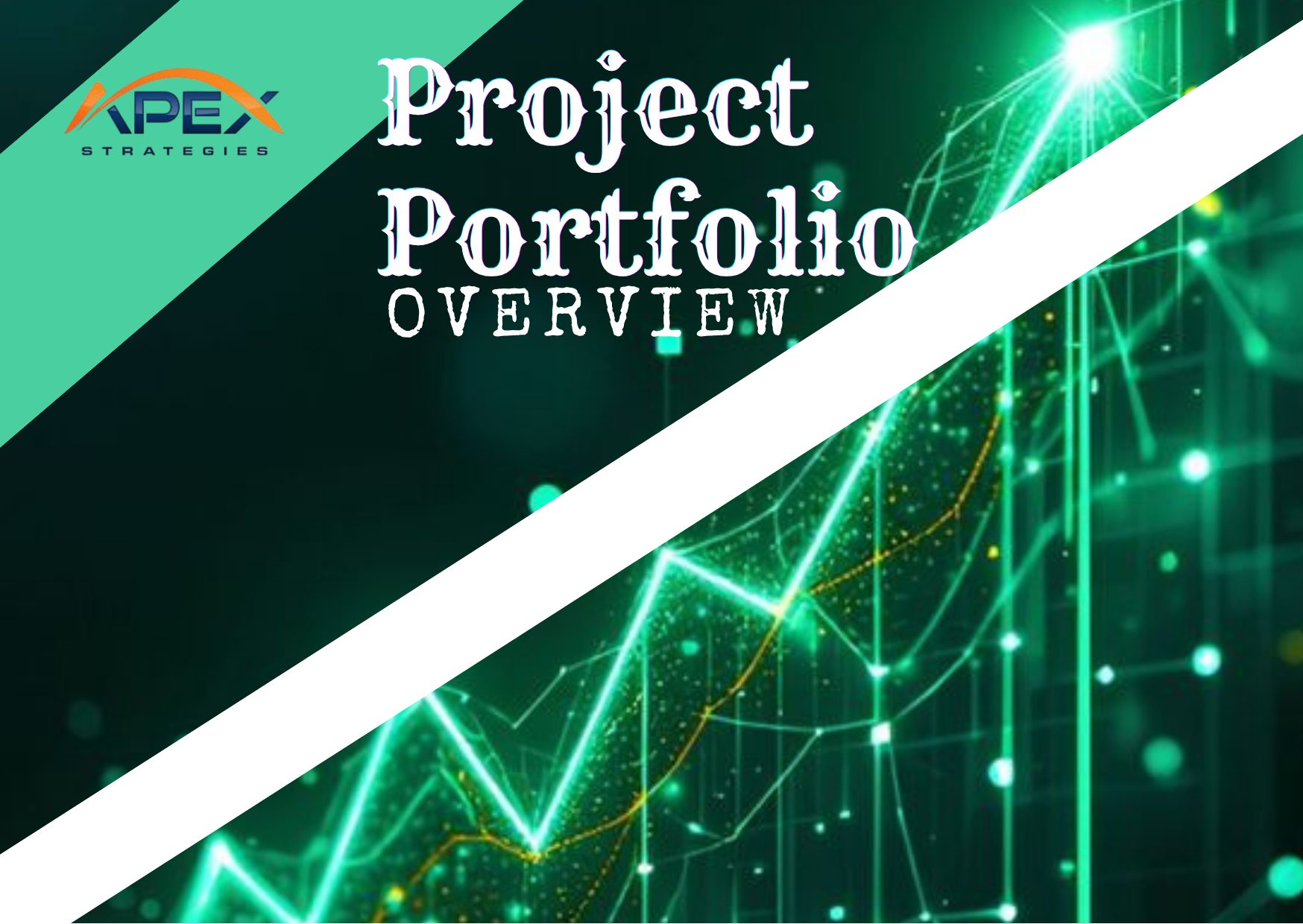 Executive Report